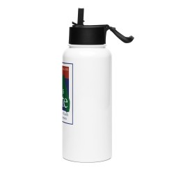 Stainless steel water bottle with a straw lid